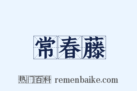 常春藤是什么意思的图片